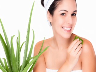 Sử dụng nha đam đúng cách để làm đẹp và những lưu ý khi dùng nha đam