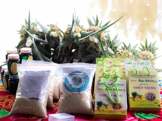 Đến với xứ Gò Quao