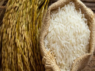 Giá lúa gạo hôm nay ngày 30/11: Đầu tuần, giá lúa gạo tăng nhẹ